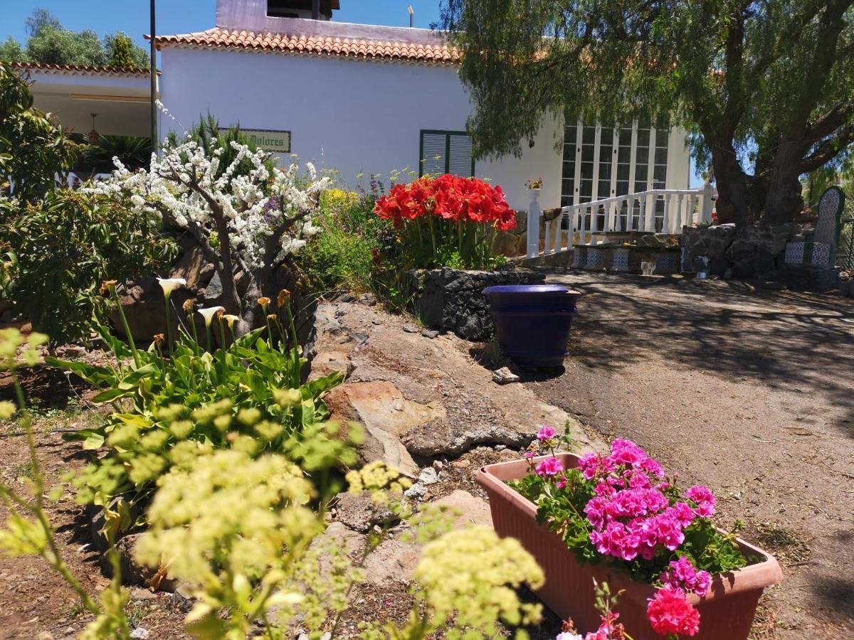 Casa Rural Dolores En Adeje Costa Adeje  Exterior foto
