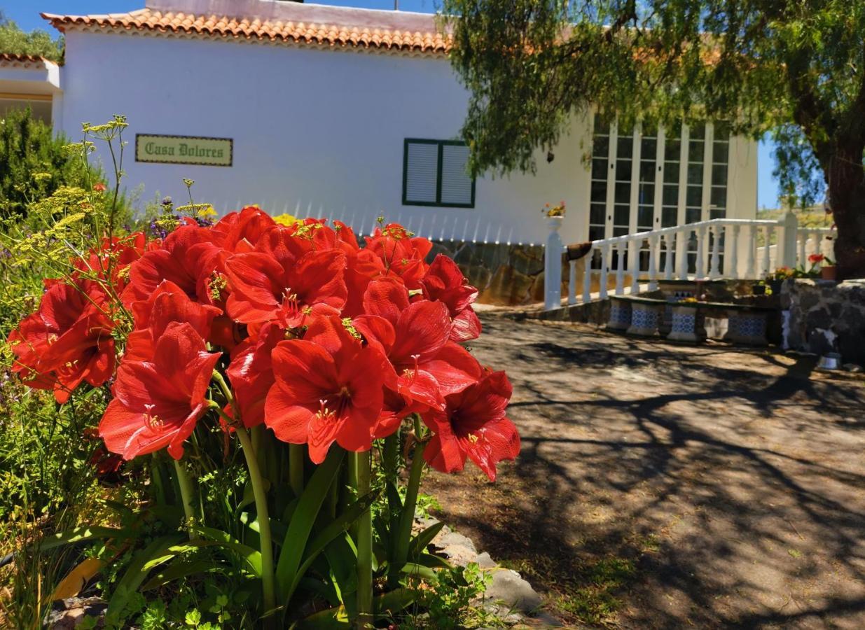 Casa Rural Dolores En Adeje Costa Adeje  Exterior foto